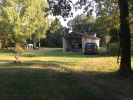 image.webp