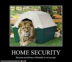 1425604723-funny_lion__28102_29.webp 1425604723-funny_lion__28102_29.webp
