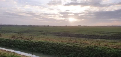 1611772019564.webp