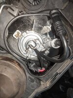 PXL_20210131_151635984.jpg