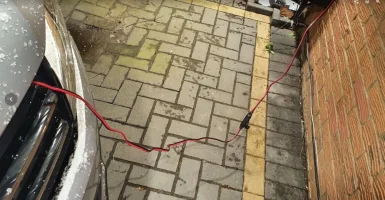 1612732829570.webp