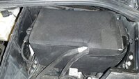 20210216_120525.jpg