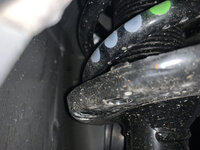 IMG_1335.jpeg