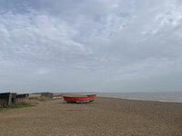 IMG_3320.jpeg