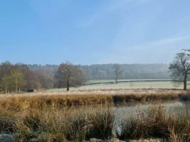 20210228_082727.webp