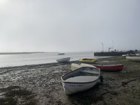 IMG_3373.jpeg