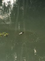 IMG_2154.jpg