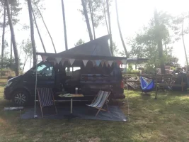 vw andy.webp