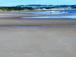 warkworth beach.webp
