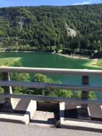 IMG_2733.webp IMG_2733.webp