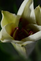 DSC_2521.JPG