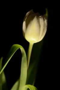 DSC_2540.webp