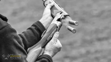 gun-2.webp