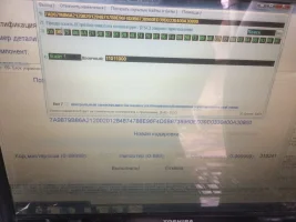 MUKjkt0voi4.webp