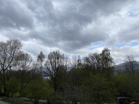 IMG-3013.jpg