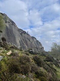 IMG_4849.jpeg