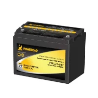 -linc-dual-lifepo4-rechargeable-battery41169255847.webp