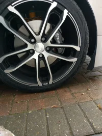 IMAG0198_zpschutorq1.webp