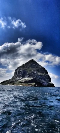 IMG_20210621_160801-01.webp