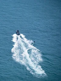 51271849266_5148d25a30_c.webp