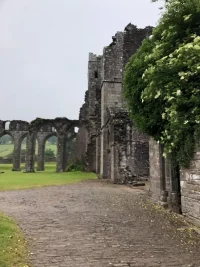 abbey.webp