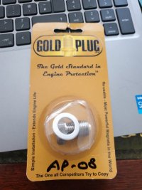 gold plug.jpg