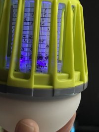 B0A3921F-C495-4B94-82B9-49B2F1071FFE.jpeg