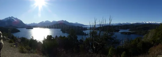 1626196585909.webp