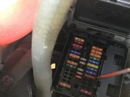 E8C2835D-D3E7-45CA-B9C6-0751276C1314.webp