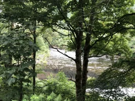 12E85113-EA00-4700-90E3-0CC365E2AA21.webp