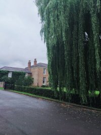IMG20210731113143.jpg
