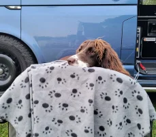 original_18bbb0e6-b632-43c6-9c17-0177076154ac_20210726_203347~2.webp