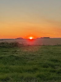 IMG_0036.jpg