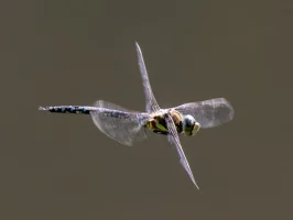 205A0177.jpg