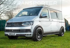 IMG_7035_SILVER_SWAMPER b.webp