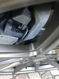 IMG_7392.jpeg