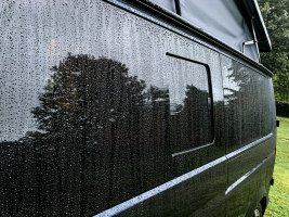 51542888973_ea137cae0c_c.jpg