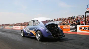 Beetle.webp