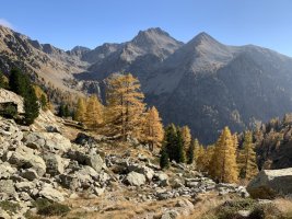IMG_9781.JPG