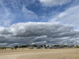 IMG_5209.jpeg