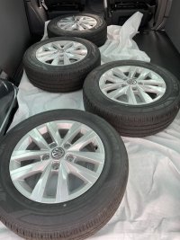 IMG_2600.jpg