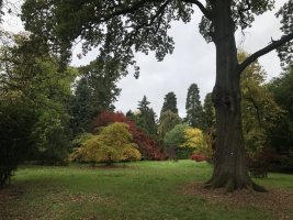 Batsford2.jpg