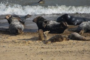 DSC_0394.jpg