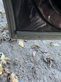 IMG_1042.jpeg