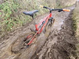 20191228_113111_49291081438_o.webp