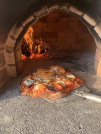IMG_1544.jpeg
