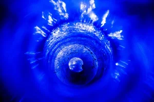 51685870947_772293b9dd_c.webp