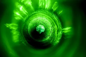 51687548285_d831496eec_c.webp