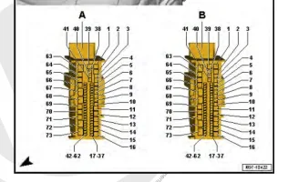 Beetle_BCM.webp Beetle_BCM.webp