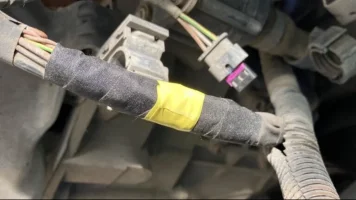 8050BE65-40A9-4DA2-BA29-EF317A77F639.webp